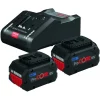 de garantie authentique Pack De 2 Batteries Bosch ProCore 18V/8Ah + Chargeur GAL 18V-160 C – 1600A016GP 19